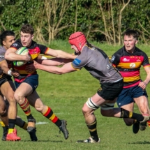 Lansdowne 1st XV v Young Munster AIL 5th March_1s