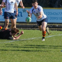 Lansdowne 1st XV v Young Munster AIL 5th March_54s