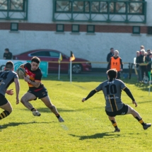 Lansdowne 1st XV v Young Munster AIL 5th March_84s