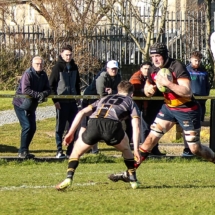 Lansdowne 1st XV v Young Munster AIL 5th March_95s